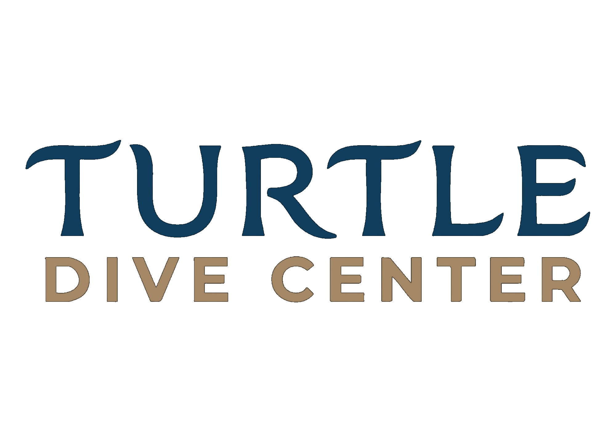 Turtle Dive Center